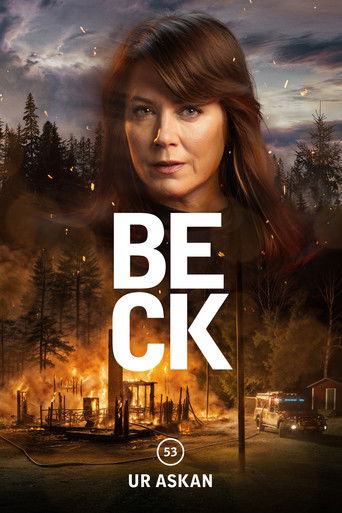 Okładka filmu Beck 53 – Ur askan
