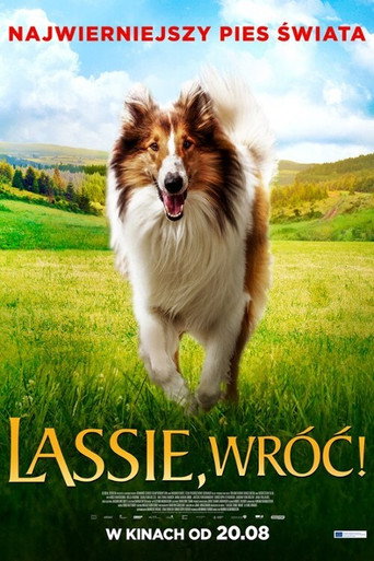Okładka filmu Lassie, wróć!