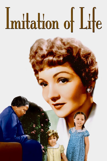 Okładka filmu Imitation of Life