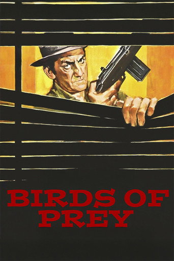 Okładka filmu Birds of Prey