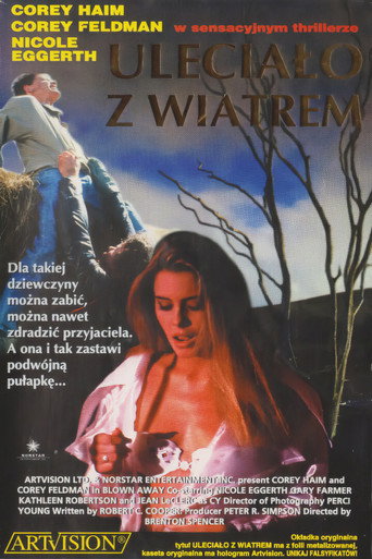 Okładka filmu Uleciało z wiatrem
