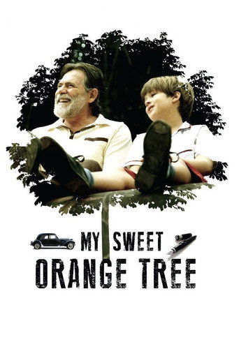 Okładka filmu My Sweet Orange Tree