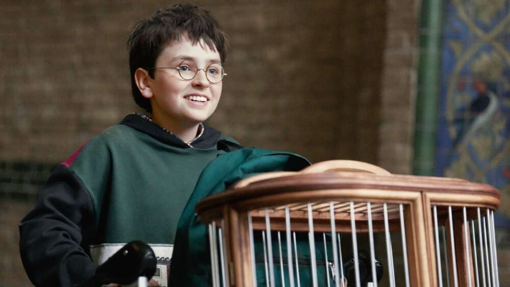 Zdjęcie okładkowe wpisu: Nieoczekiwana zmiana w 2. sezonie Harry’ego Pottera! Jedna z gwiazd opuszcza serial