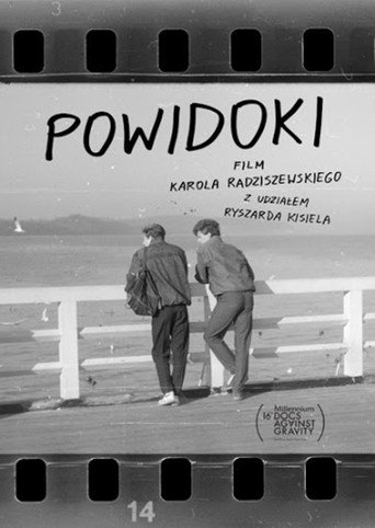 Okładka filmu Powidoki