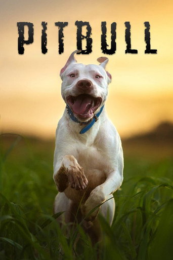 Okładka filmu Pitbull