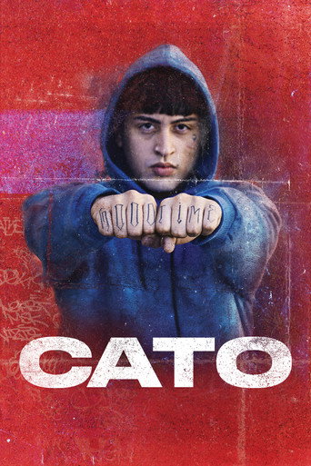Okładka filmu CATO