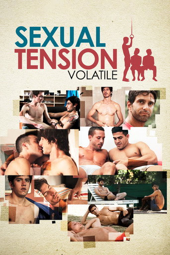 Okładka filmu Sexual Tension: Volatile