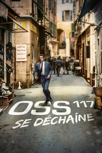 Okładka filmu OSS 117 se déchaîne