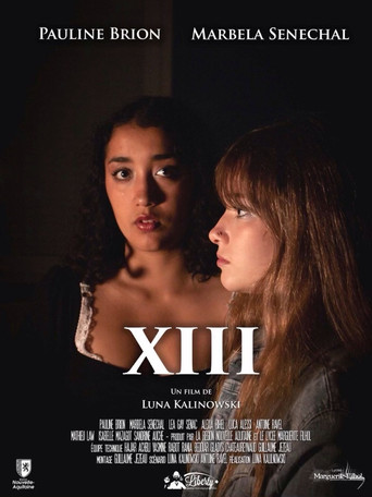 Okładka filmu XIII