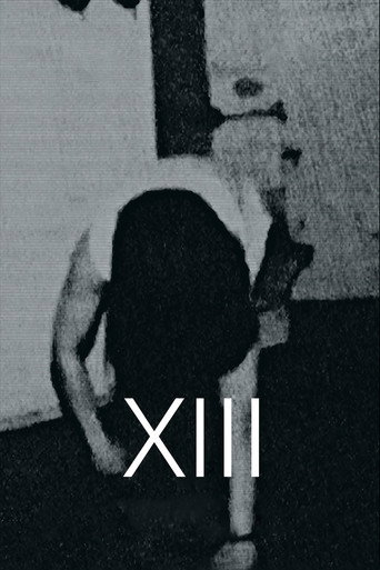 Okładka filmu XIII