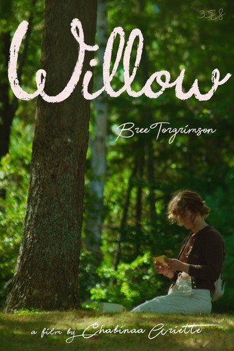 Okładka filmu Willow