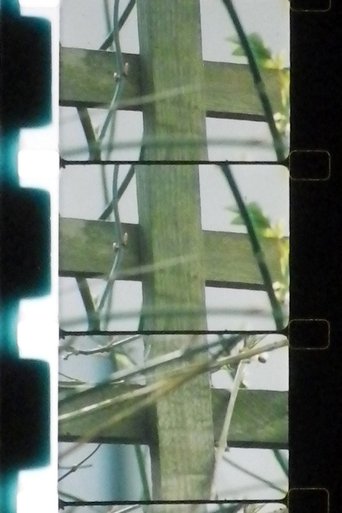 Okładka filmu Matrix