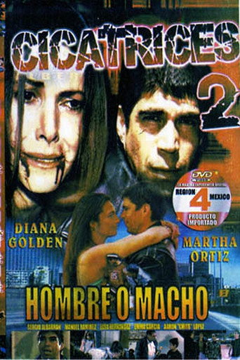 Okładka filmu Cicatrices 2