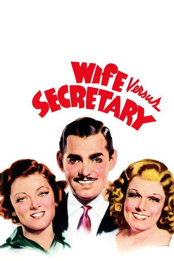 Okładka filmu Wife vs. Secretary