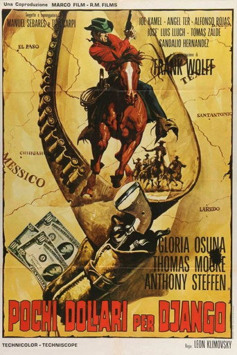 Okładka filmu Pochi dollari per Django