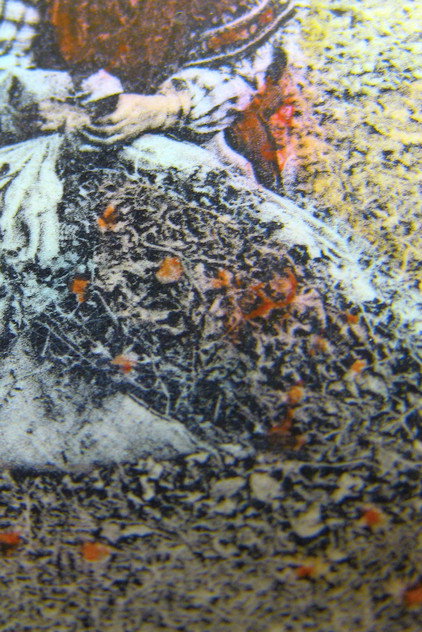 Zdjęcie MilleFeuille