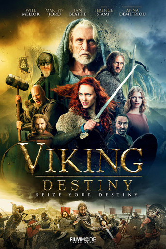 Okładka filmu Viking Destiny