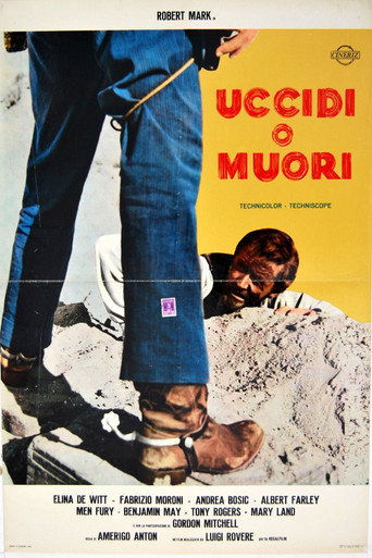 Okładka filmu Zabij albo zgiń