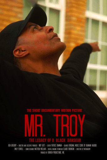 Okładka filmu Mr. Troy