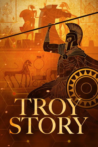Okładka filmu Troy Story