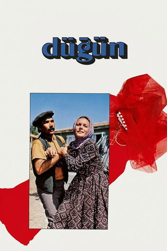 Okładka filmu Düğün