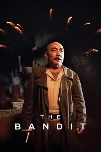 Okładka filmu The Bandit