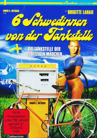Okładka filmu Sechs Schwedinnen von der Tankstelle