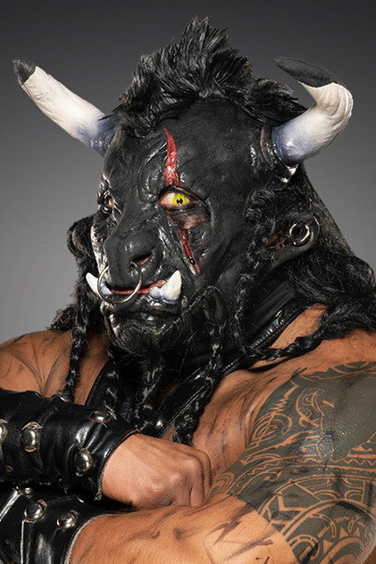 Zdjęcie Black Taurus