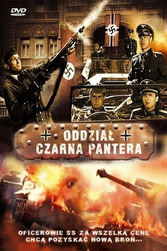 Okładka filmu Oddział Czarna Pantera