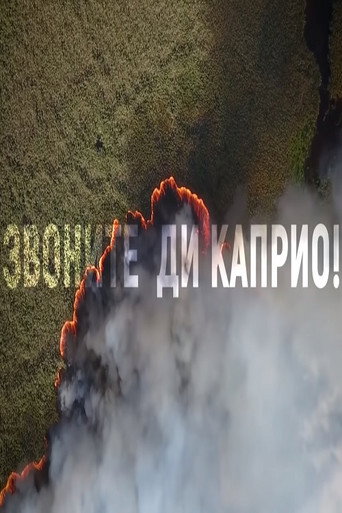 Okładka filmu Звоните Ди Каприо