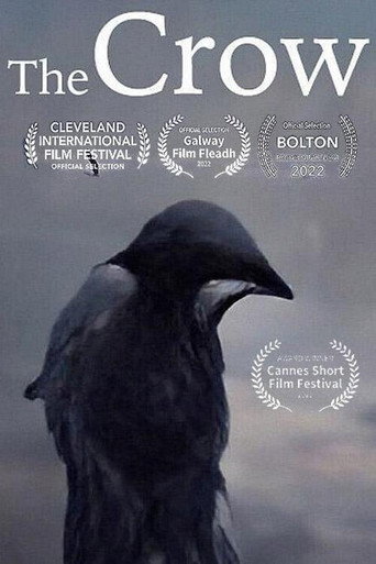 Okładka filmu The Crow