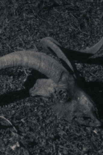 Okładka filmu Obsada filmu Animal Farm