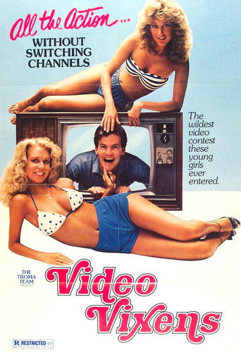 Okładka filmu Video Vixens!
