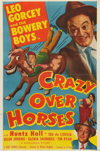 Okładka filmu Crazy Over Horses
