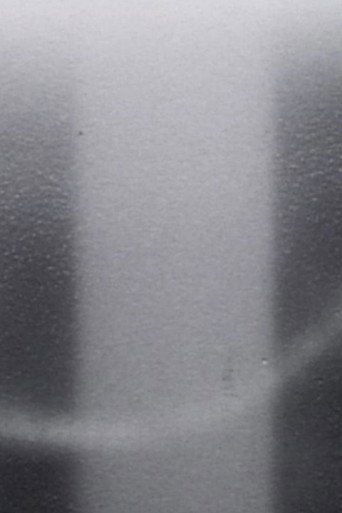 Okładka filmu Light Licks: I Saw the Light Praise the Dark