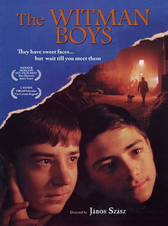 Okładka filmu Bracia Witman