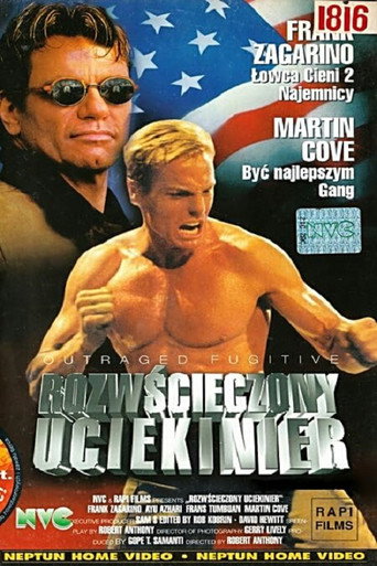 Okładka filmu Rozwścieczony uciekinier