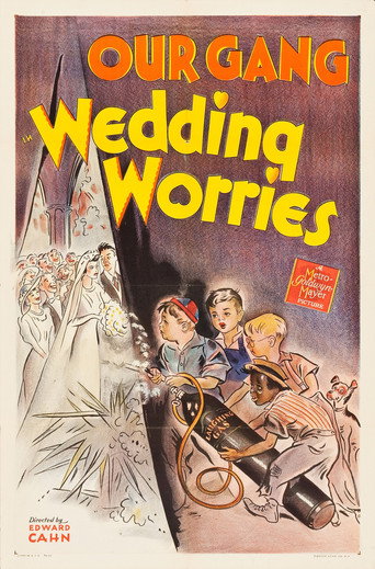 Okładka filmu Obsada filmu Wedding Worries