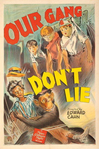 Okładka filmu Obsada filmu Don’t Lie