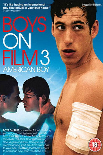 Okładka filmu Boys On Film 3: American Boy