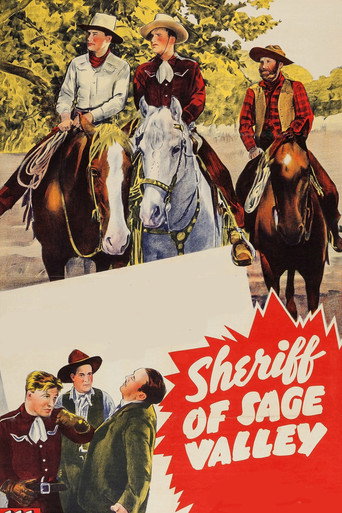 Okładka filmu Sheriff of Sage Valley