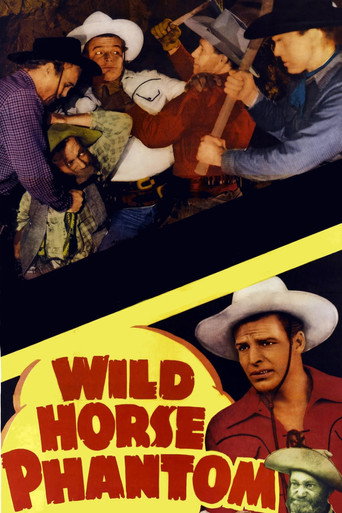 Okładka filmu Wild Horse Phantom