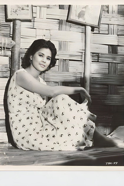 Zdjęcie Liza Moreno