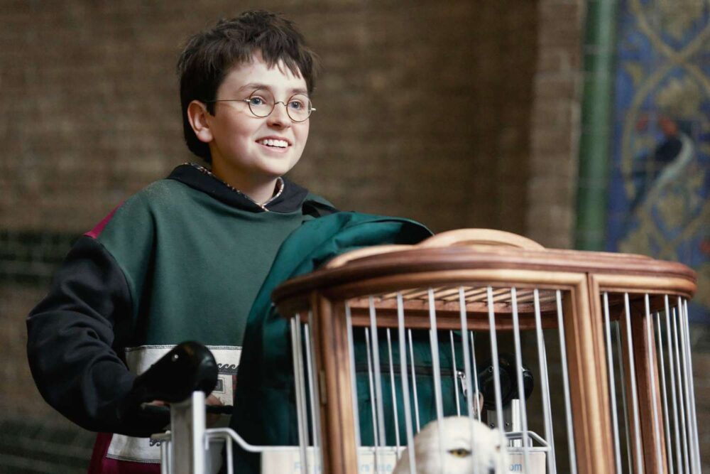 Zdjęcie okładkowe wpisu: Serialowy Harry Potter z zaskakującą kategorią wiekową!
