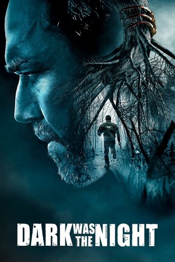 Okładka filmu W ciemną noc