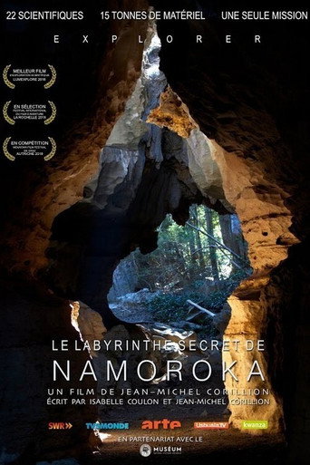 Okładka filmu Le Labyrinthe secret de Namoroka