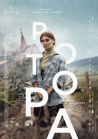 Okładka filmu Obsada filmu Potopa