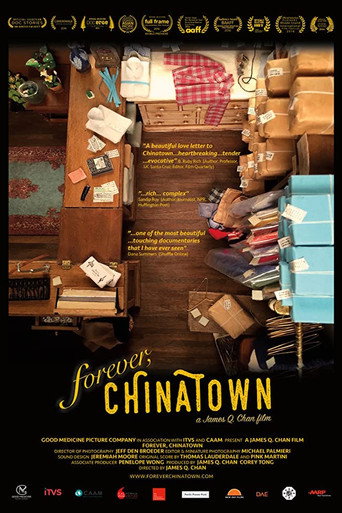 Okładka filmu Obsada filmu Forever, Chinatown