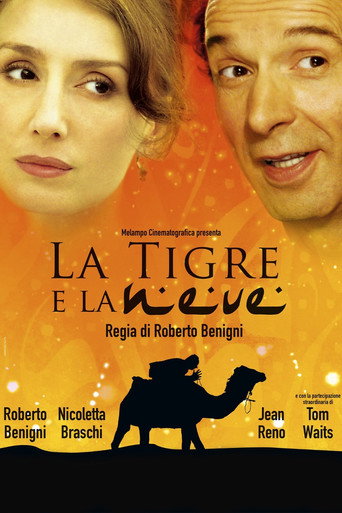 Okładka filmu Tygrys i śnieg