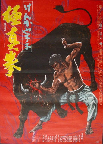 Okładka filmu Obsada filmu Karate Bullfighter